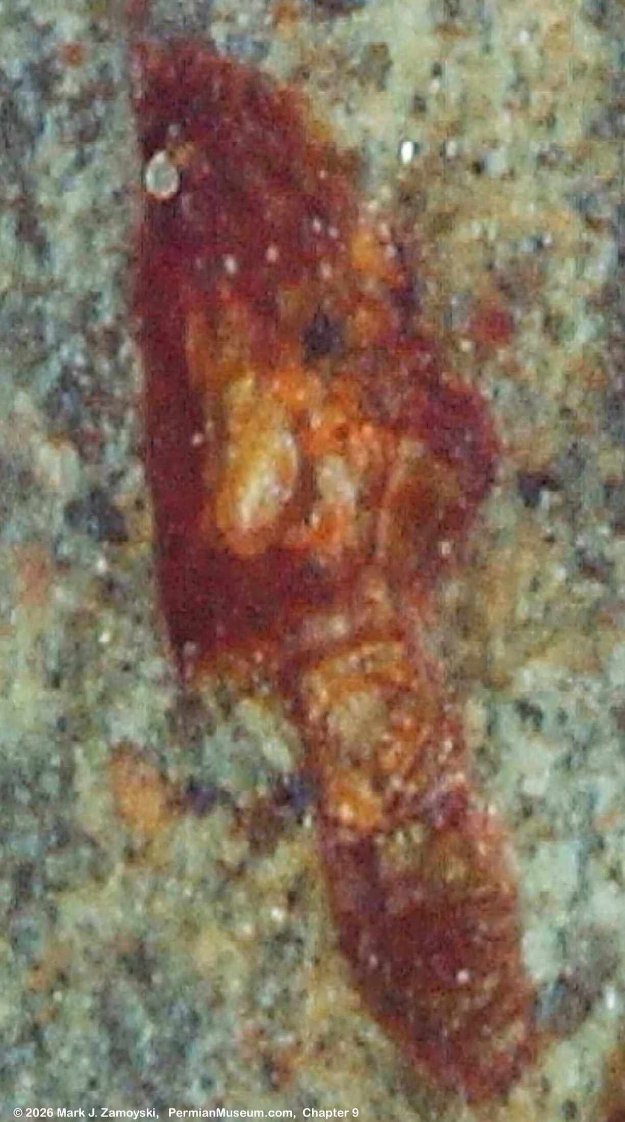 Artifact 1