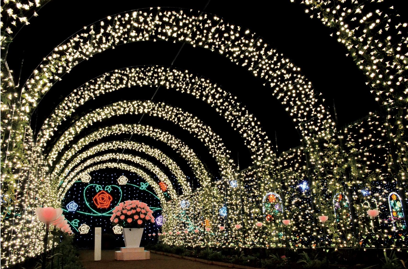 Ashikaga Rose Garden Tunnel Lights