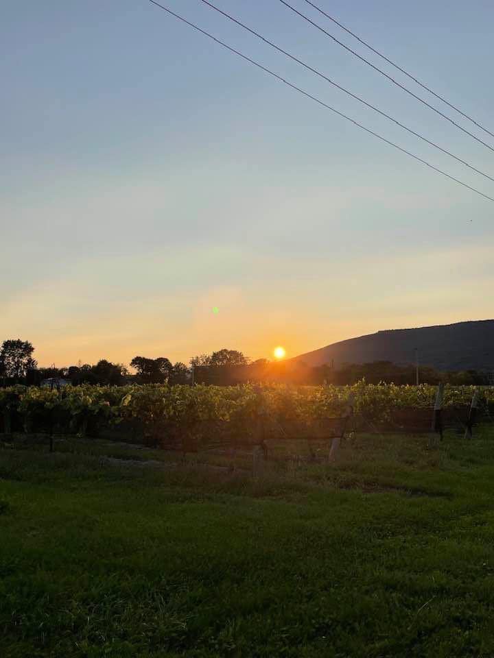 Sunset over Magnanini Farm Winery, Wallkill, NY