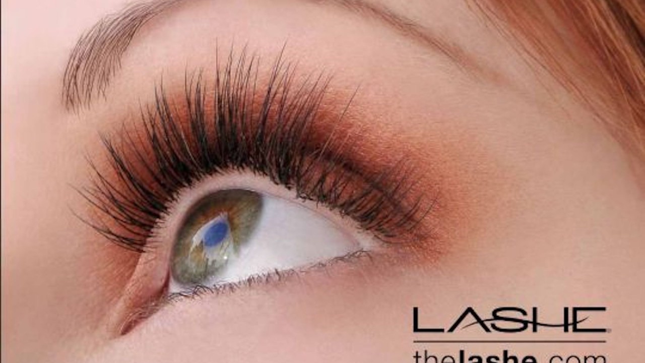 The Lashe, Inc. Since 2007